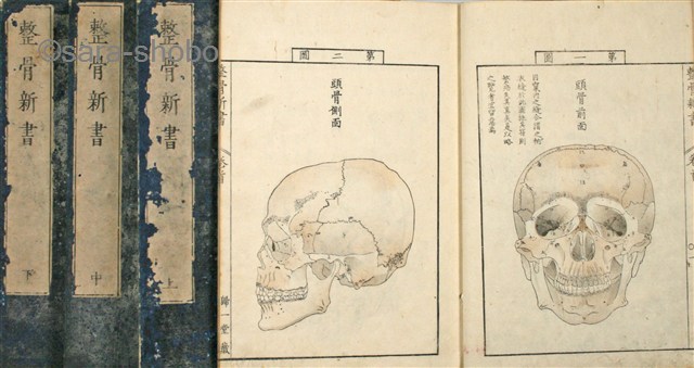 整骨新書 各骨真形図 | 江戸時代の和本(WAHON) 古地図 学術古書