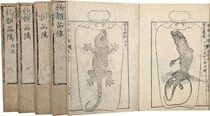和本(版本・写本)・古地図・複製・近代資料 | 江戸時代の和本
